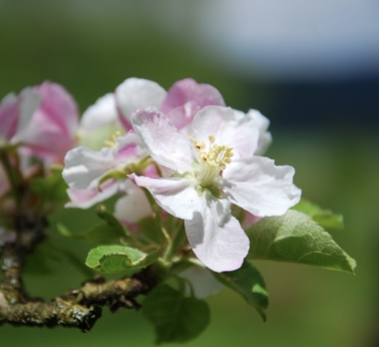 Die Zukunft ist Jetzt