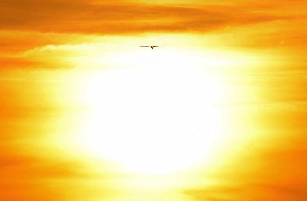 Sie schenkt sich allen, ohne Ausnahme.