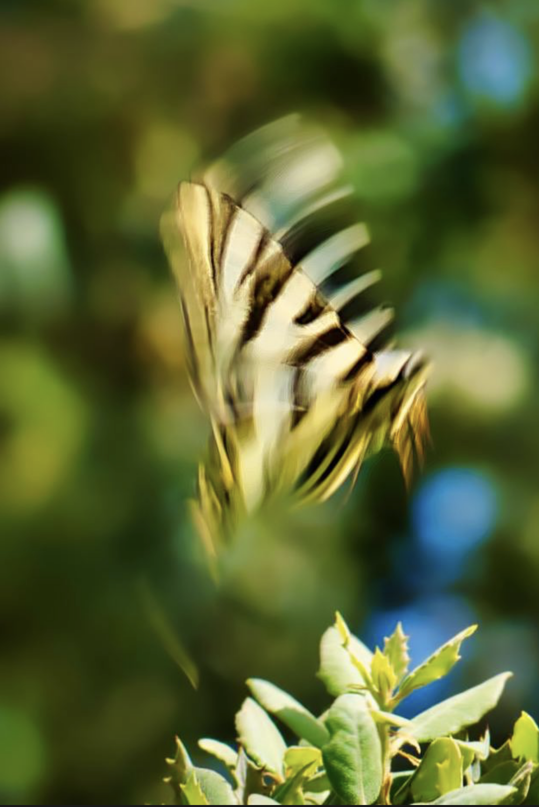 Tiefe Ruhe zwischen den Welten